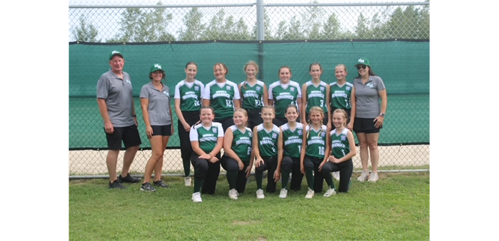 12u Softball Allstars